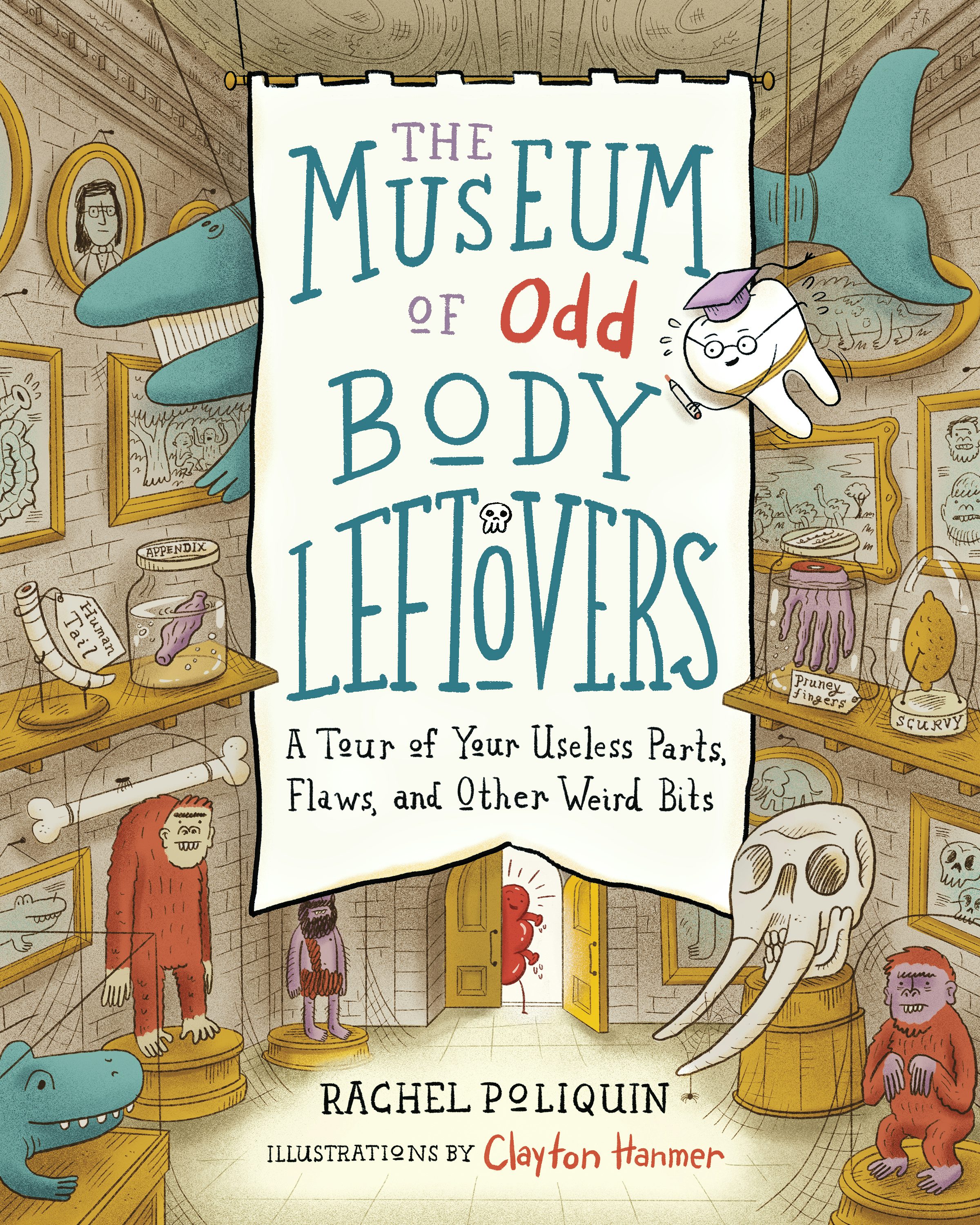 Book cover image for The Museum of Odd Body Leftovers ISBN: 9781771647458
